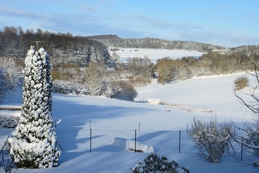 Blick vom Garten in die unberührte Schneelandschaft
